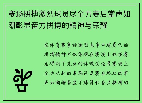 赛场拼搏激烈球员尽全力赛后掌声如潮彰显奋力拼搏的精神与荣耀